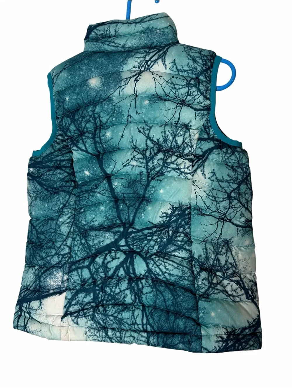 Patagonia Down Sweater Puffer Vest in the Moontree Deep Sea Blue Size XS 5-6